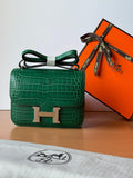 Hermès Bag | Constance 18 Cactus Alligator