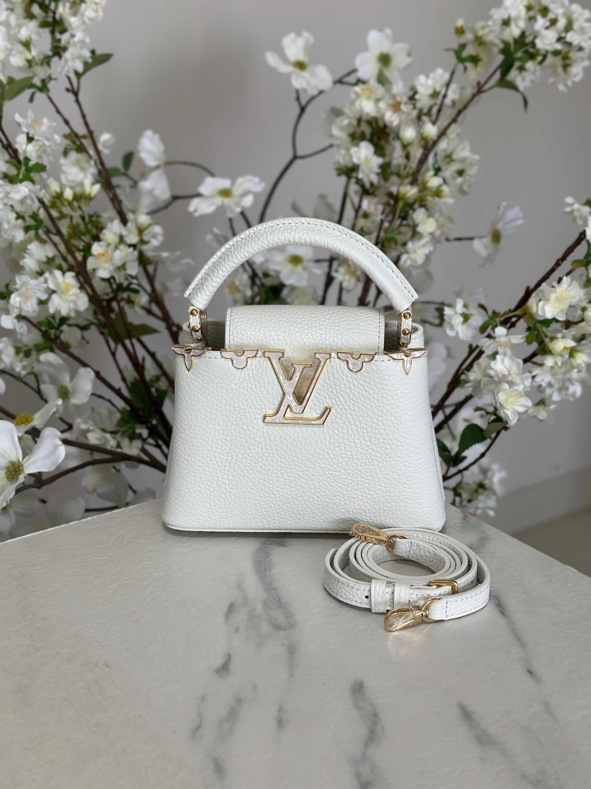 Louis Vuitton Bag | Capucines White