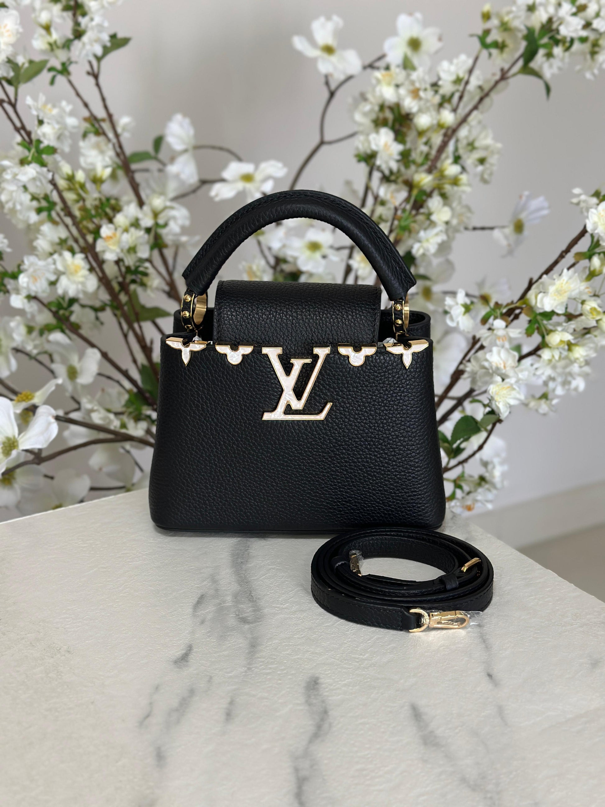 Louis Vuitton Bag | Capucines Black