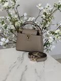 Louis Vuitton Bag | Capucines Gray Python