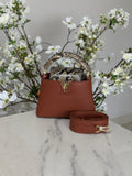 Louis Vuitton Bag | Capucines Brown Python
