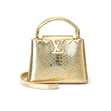 Louis Vuitton Bag | Capucines Taurillon Silver