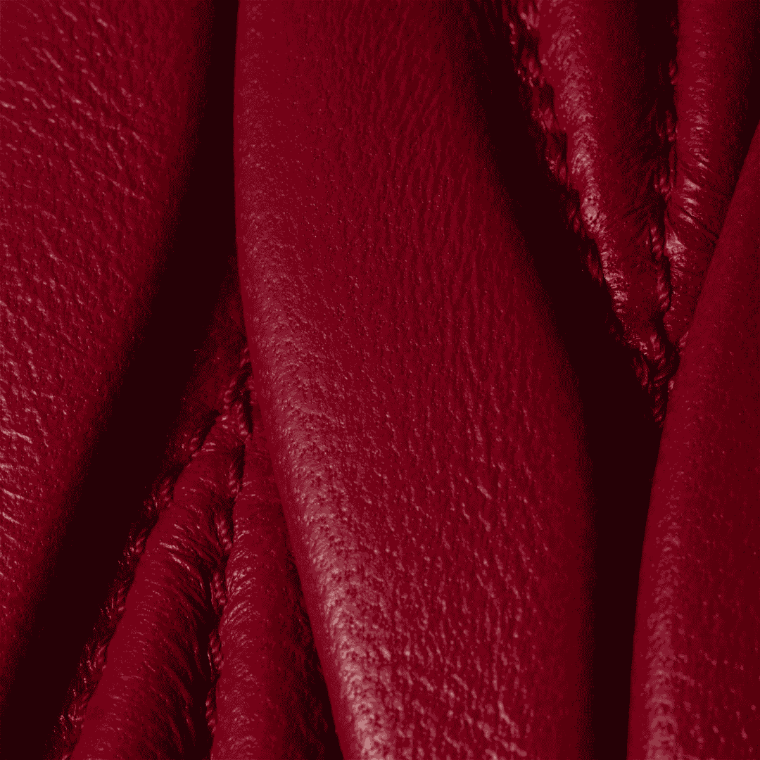 Miu Miu Bag | Arcadie matelassé nappa leather mini-bag "Red"