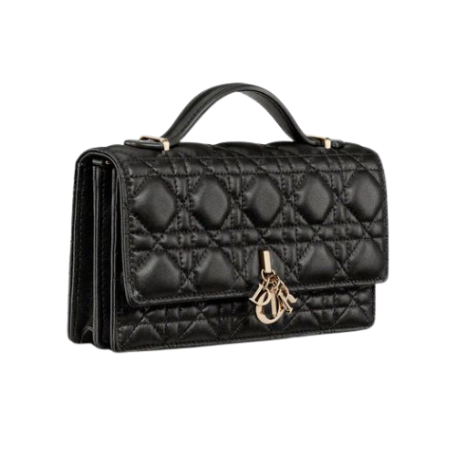 Dior | My Top Handle Bag
