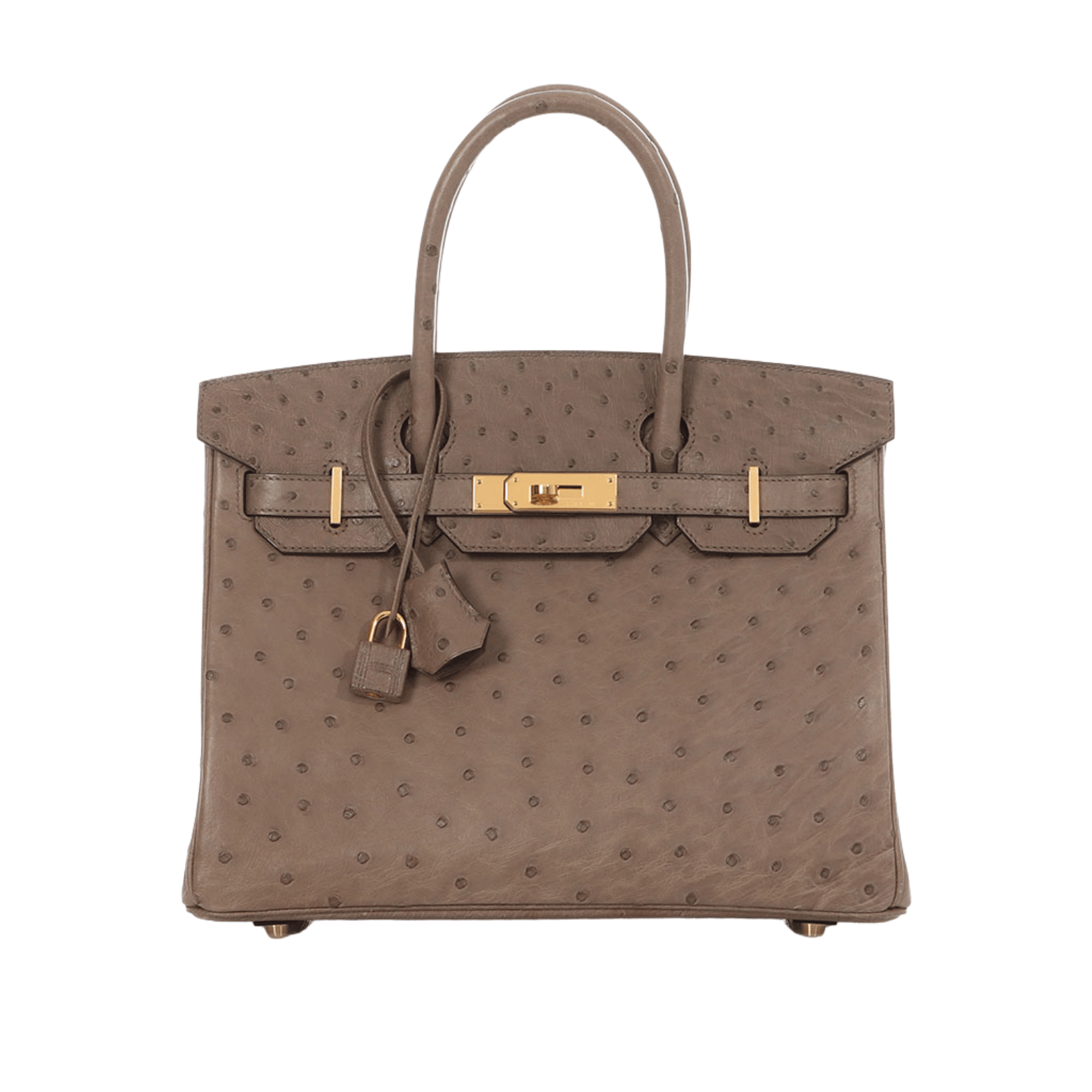 Hermès Bag | Ostrich Birkin Sellier Brown