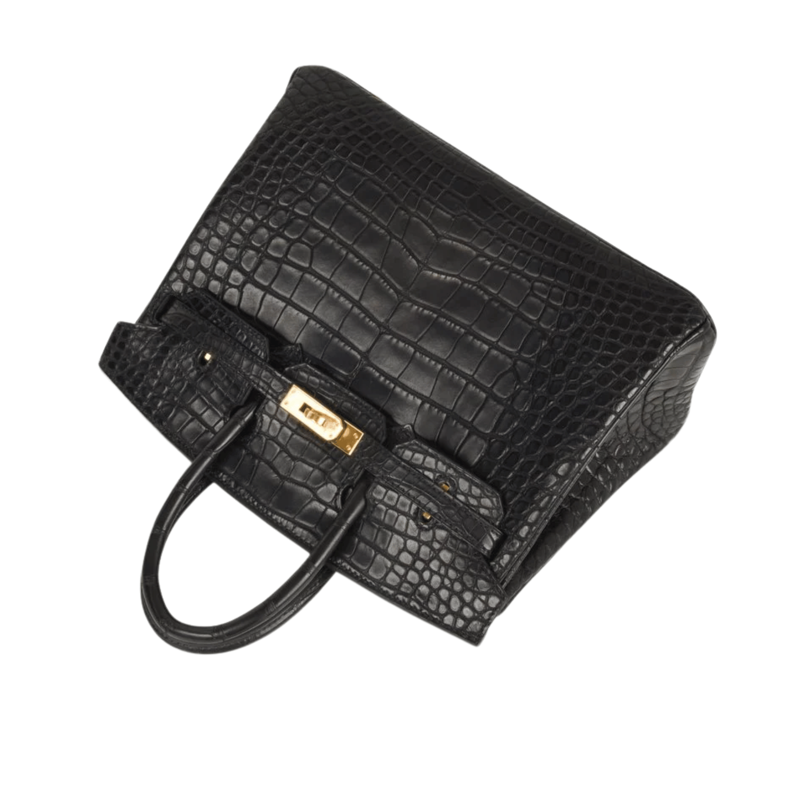 Hermès Bag | Birkin Croc