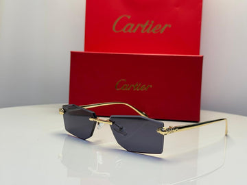 Cartier CT0271S